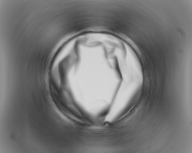 X0000113541343200910161404