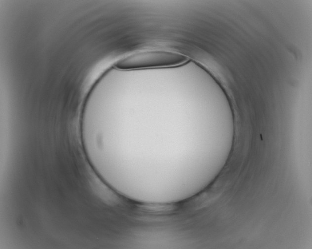 X0000113541344200910161404