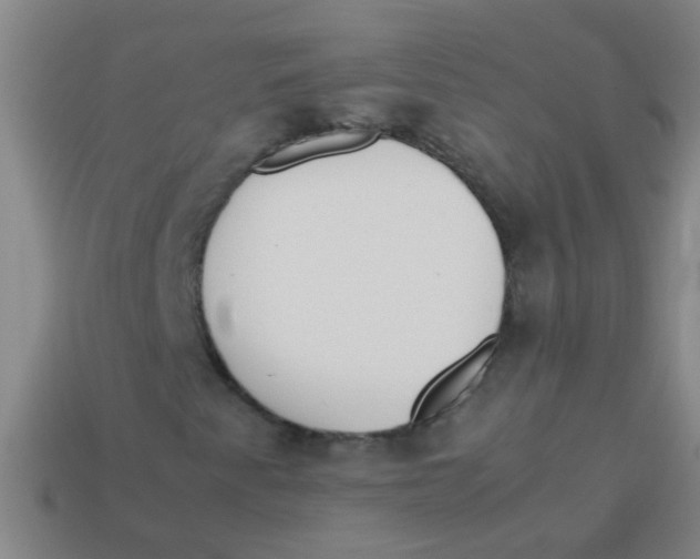 X0000113541345200910161403
