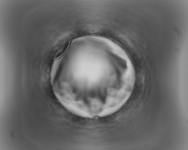 X0000113541349200910161403