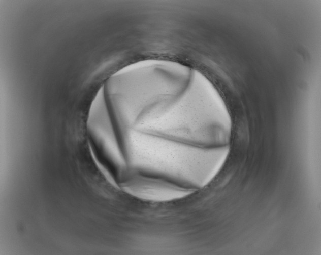 X0000113541350200910161403