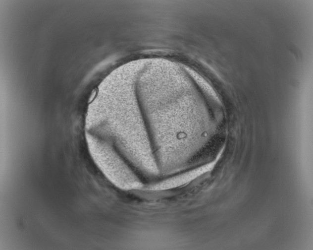 X0000113541351200910161403