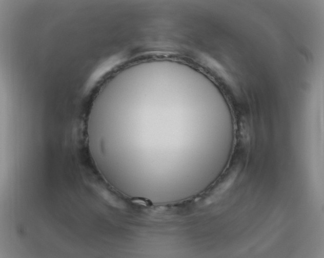 X0000113541352200910161403