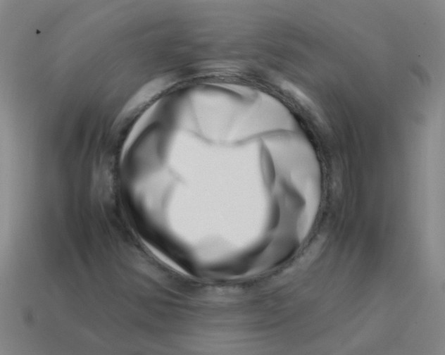 X0000113541354200910161403
