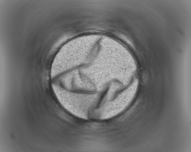 X0000113541355200910161403