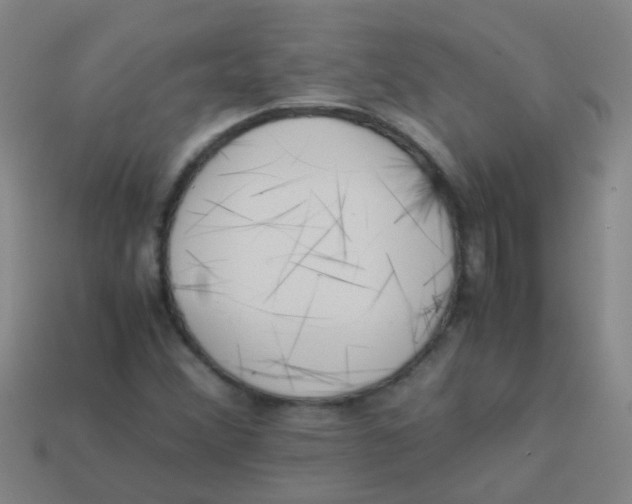 X0000113541356200910161403