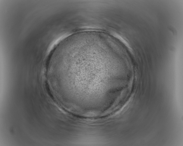 X0000113541357200910161403