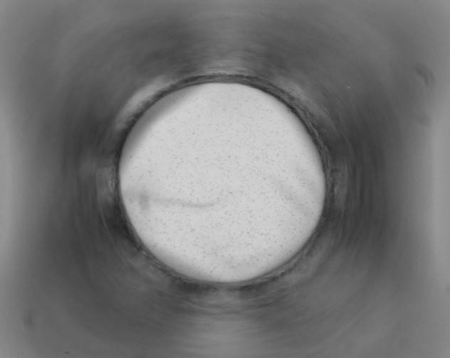 X0000113541358200910161403