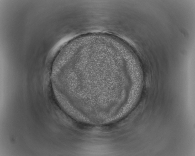 X0000113541359200910161403