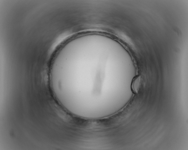 X0000113541360200910161403