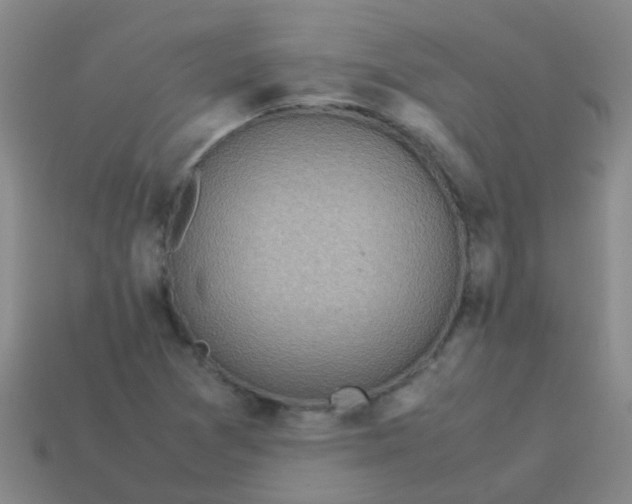 X0000113541361200910161403