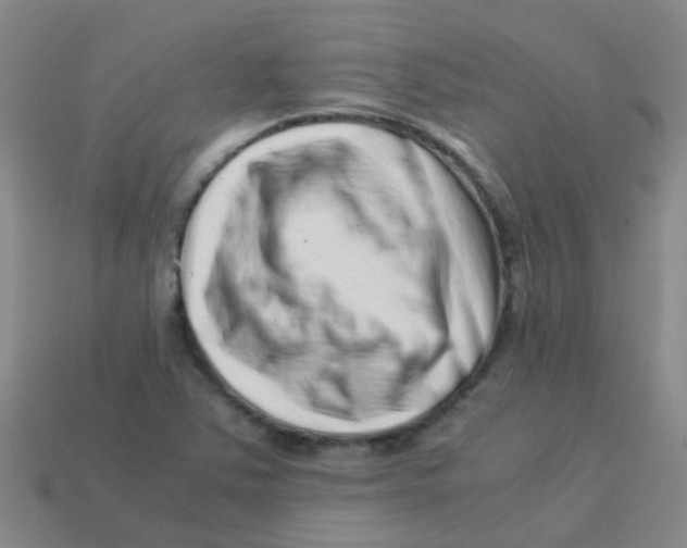 X0000113541363200910161403