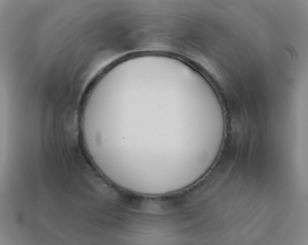 X0000113541364200910161403