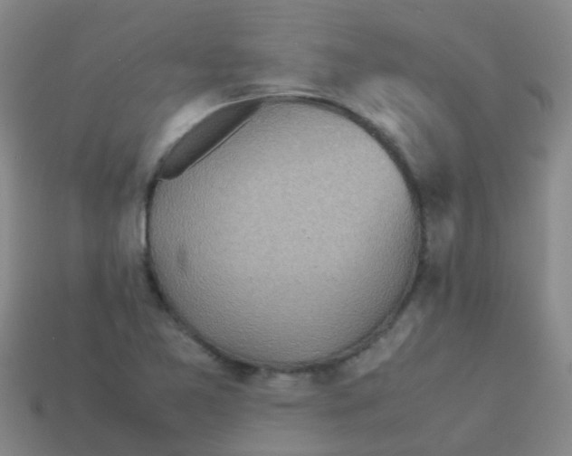 X0000113541365200910161403