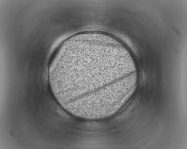 X0000113541366200910161403