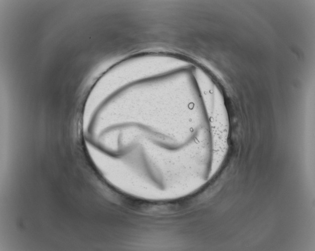 X0000113541367200910161403