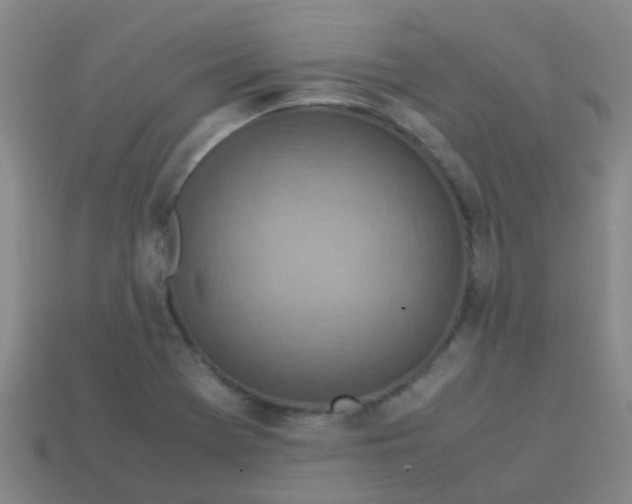 X0000113541369200910161403