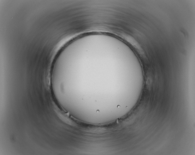 X0000113541372200910161402