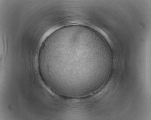X0000113541373200910161402
