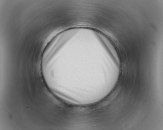 X0000113541374200910161402