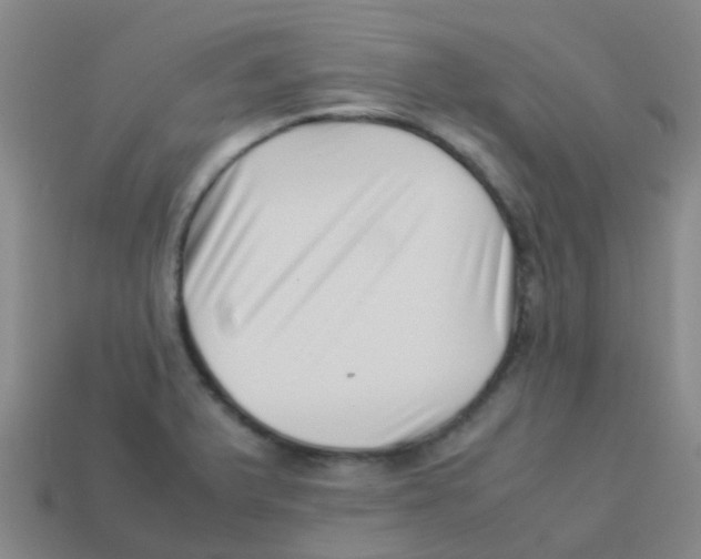 X0000113541375200910161402