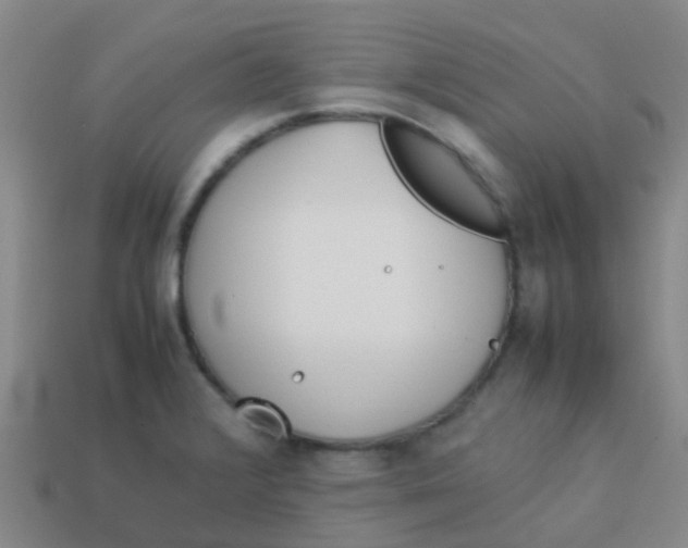 X0000113541376200910161402