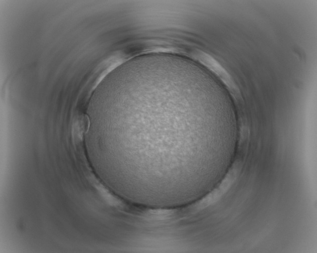 X0000113541377200910161402