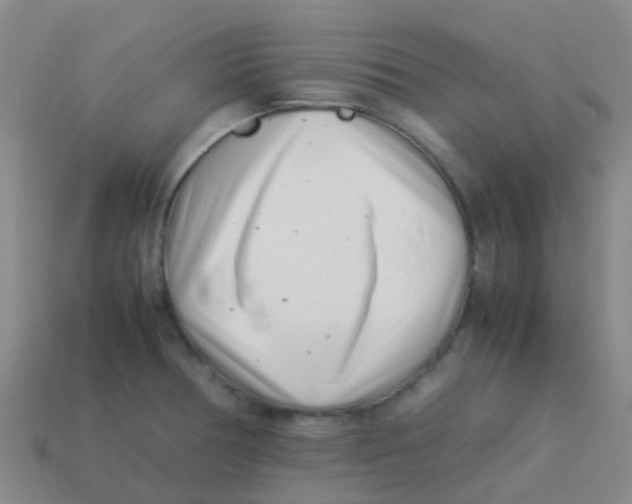 X0000113541378200910161402