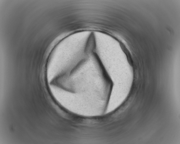 X0000113541379200910161402