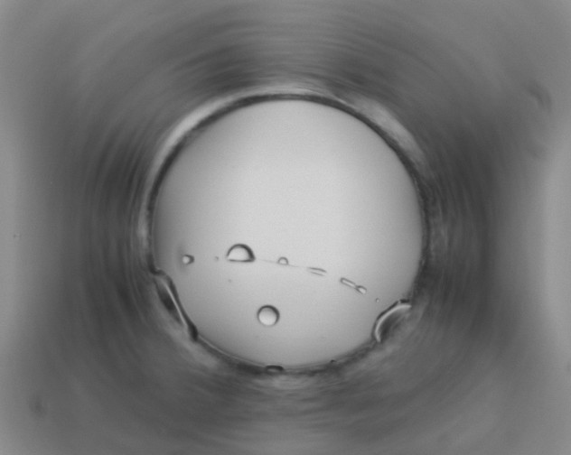 X0000113541380200910161402