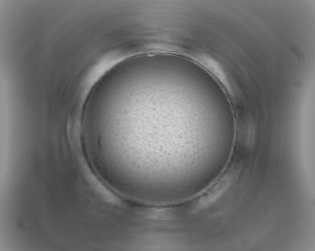 X0000113541381200910161402
