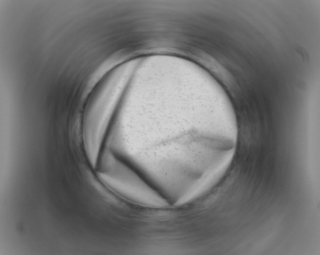 X0000113541382200910161402
