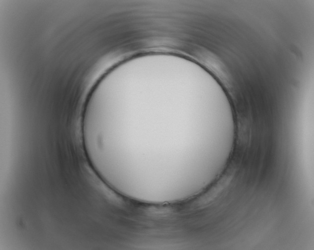X0000113541384200910161402