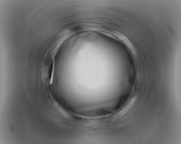 X0000113541385200910161402