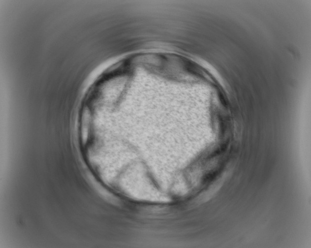 X0000113541387200910161402