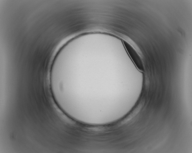 X0000113541388200910161402