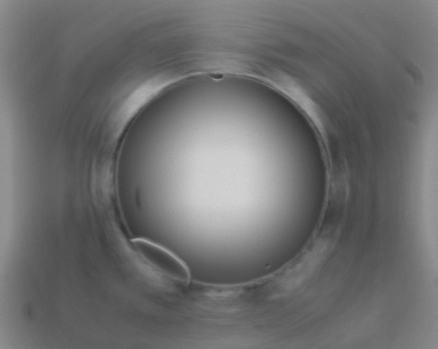 X0000113541389200910161402