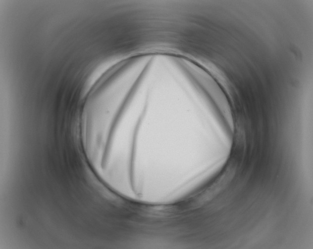 X0000113541390200910161402