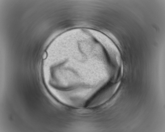 X0000113541391200910161402