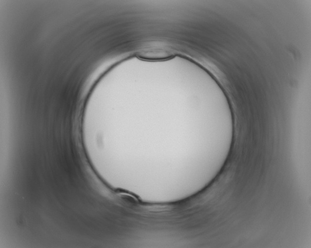 X0000113541392200910161402