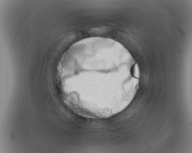 X0000113541393200910161401