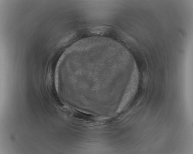 X0000113541394200910161401