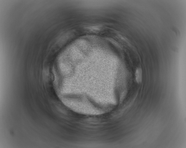 X0000113541395200910161401