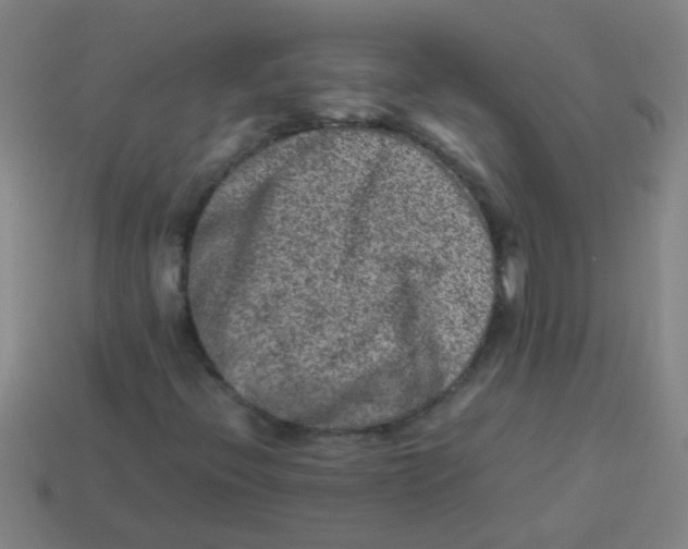 X0000113541396200910161401