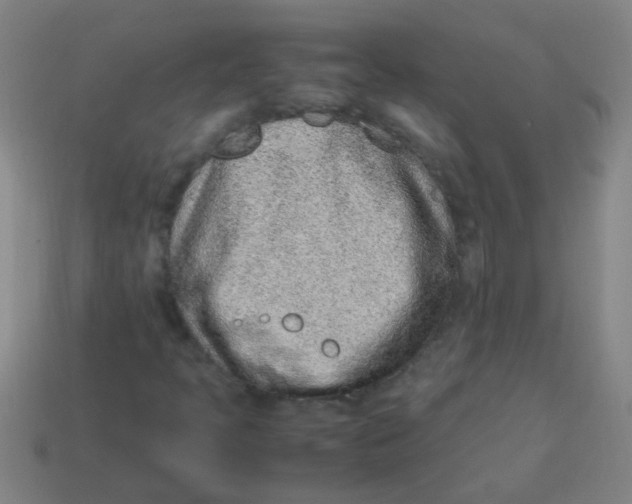 X0000113541397200910161401