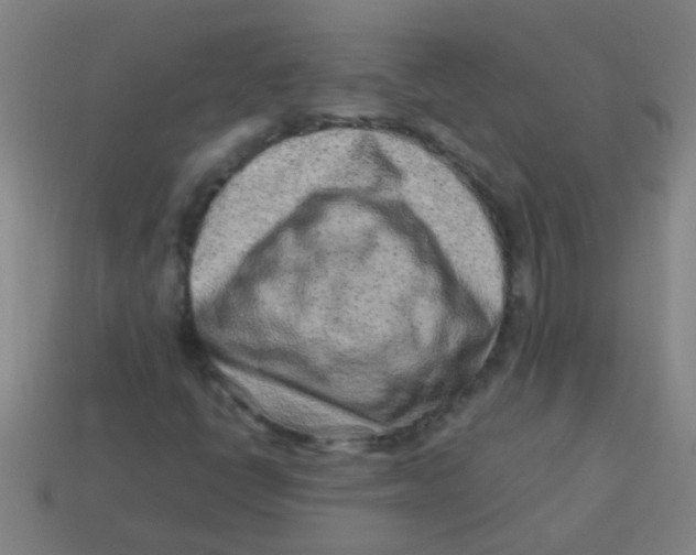X0000113541398200910161401