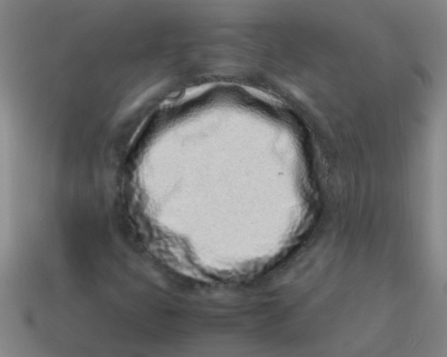 X0000113541399200910161401