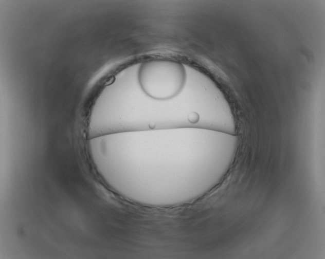 X0000113541400200910161401