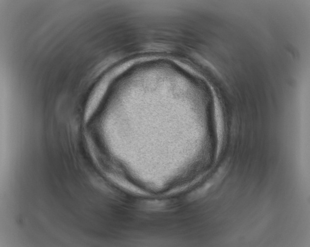 X0000113541401200910161401