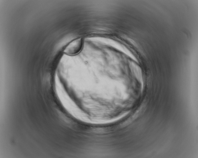 X0000113541402200910161401